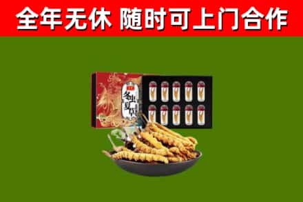 汝阳回收冬虫夏草价格
