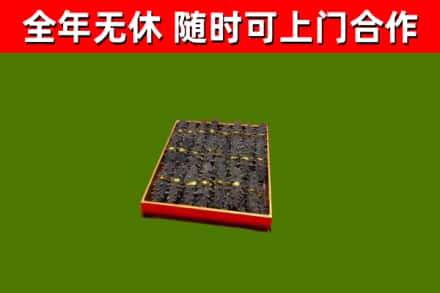 汝阳烟酒回收海参.jpg